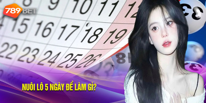Cách Nuôi Lô 5 Ngày Đơn Giản Đảm Bảo Hiệu Quả Cao Cho Khách Hàng Thử ngay cược đề liên tiếp trong 5 ngày để thấy được hiệu quả