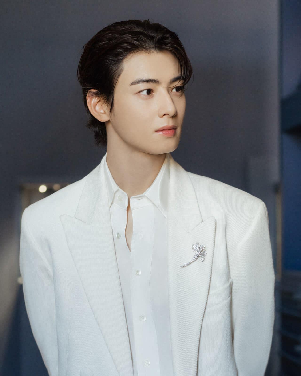Cha Eun-woo